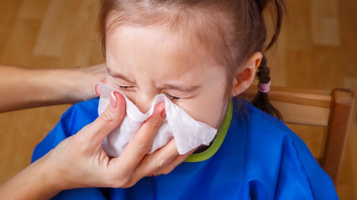 SaludSiete de cada diez consultas por infecciones respiratorias pediátricas son por bronquiolitis