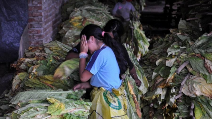 Informe de la UCAAdvierten que el trabajo infantil está naturalizado y afecta a 1,3 millones en Argentina