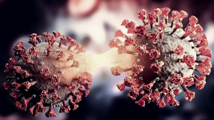 Se llama EG.5.1Alarma en Reino Unido por el crecimiento de una nueva variante de coronavirus