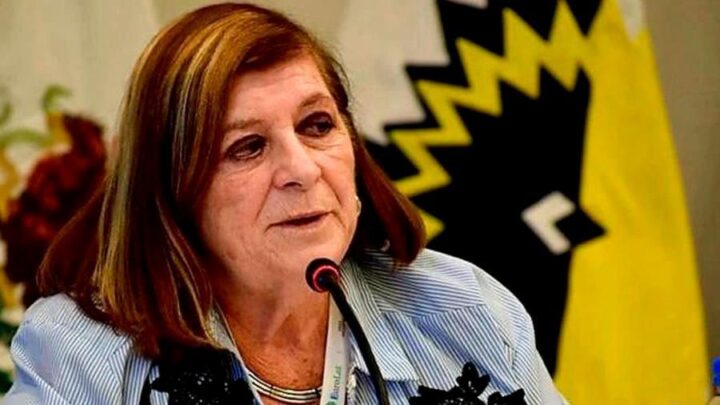 Crisis política en JxCVicepresidenta de la UCR se pronunció contra Milei y sostuvo que Macri «rema para atrás»