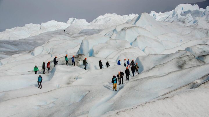 El primer complejo naturalDía de los Parques Nacionales: se cumplen 120 años de la donación del Perito Moreno