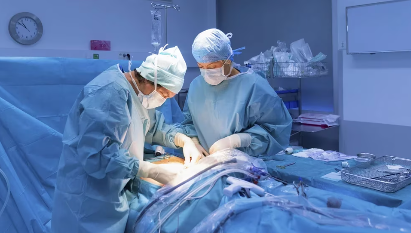 Salud10 claves para entender cómo funciona el sistema de donación de órganos en Argentina