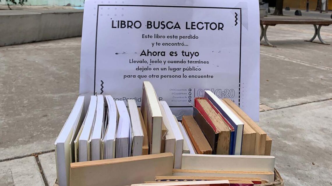 Iniciativa solidaria en mar del plata«Siembra de Libros»: un proyecto que distribuye textos gratis en espacios públicos