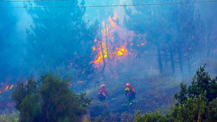 AmbienteRenuevan los contratos de 450 brigadistas para combatir los incendios forestales