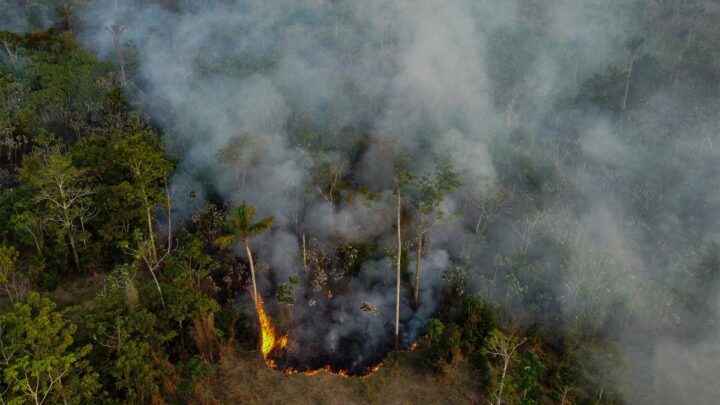 Según World Weather AttributionEl cambio climático fue «el principal responsable» de la sequía de la Amazonia