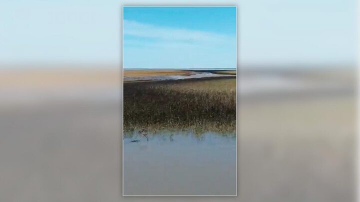 En el estuario localBahía Blanca: ambientalistas calificaron como «muy grave» el derrame de petróleo