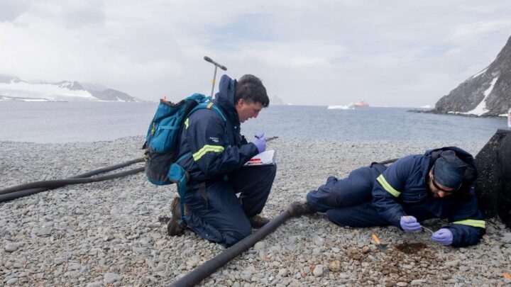 Campaña Antártica de VeranoUn mapeo de las bases antárticas para detectar y biorremediar hidrocarburos en el suelo