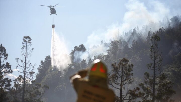 Reiteran que el incendio fue intencionalAlerta: ya son más de 2.000 las hectáreas quemadas en el Parque Nacional Los Alerces