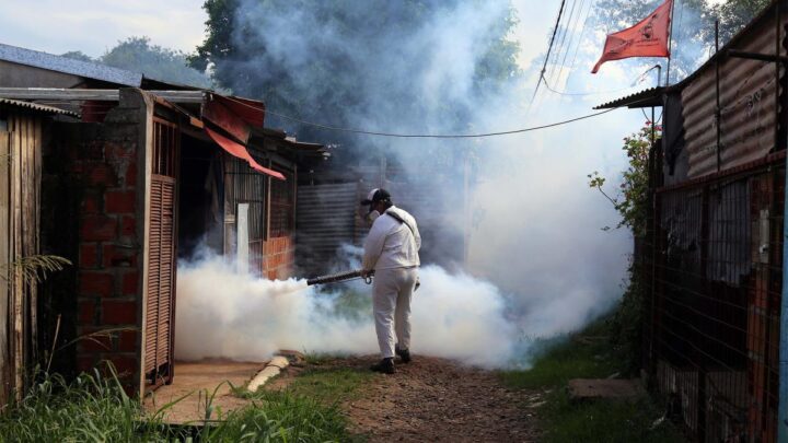 Hay 724 contagiados en totalSalta registró 427 casos de dengue en la última semana epidemiológica