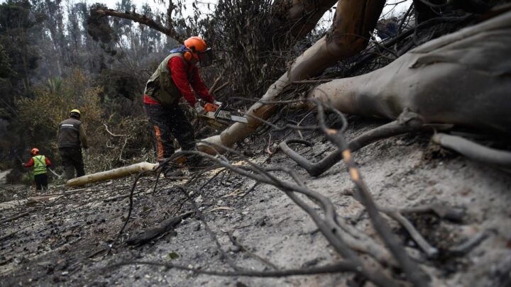 Casi 30 mil hectáreas afectadasChile: los bomberos ya lograron extinguir los incendios que dejaron más de 130 muertos