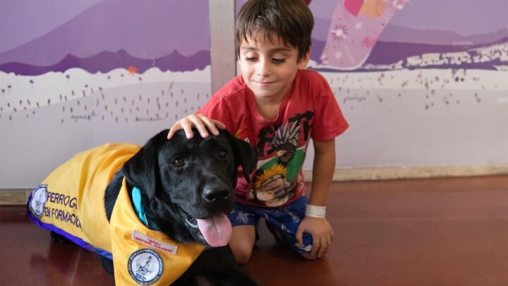 En línea con una tendencia mundialEl Garrahan implementa por primera vez la terapia asistida con perros para pacientes internados