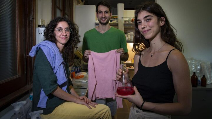 Para mitigar el impacto ambientalCientíficos argentinos desarrollaron «la primera tintura textil de origen microbiano»