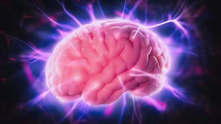 SaludCuáles son las células cerebrales que nos preparan para hablar, según un estudio