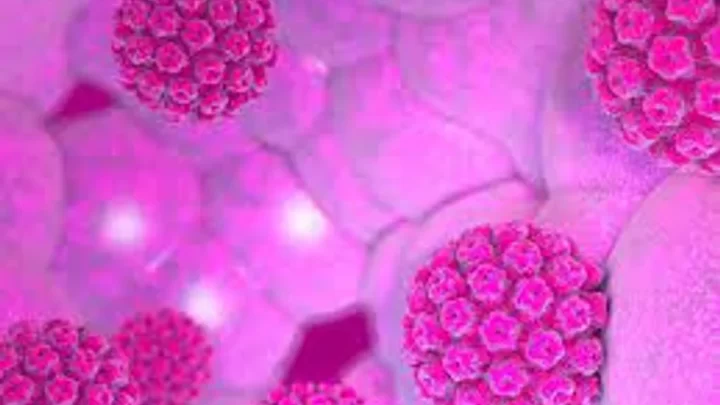 Virus del Papiloma HumanoVPH: Prevención y diagnóstico temprano, las claves para evitar el cáncer de cuello uterino