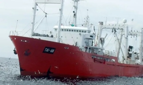 El gobierno presiona para favorecer la pesca ilegalEl Gobierno prohibió la pesca de merluza negra: escándalo, presiones, renuncias y un buque chino con una carga millonaria