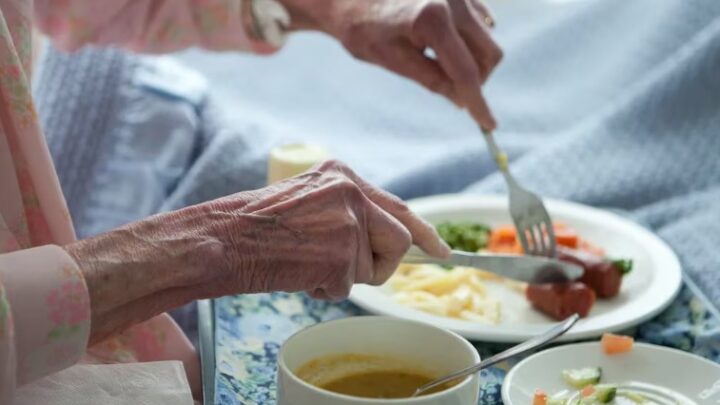 Hábitos alimenticios saludablesMenos envejecimiento y menor riesgo de demencia: todos los beneficios de llevar una dieta sana, según expertos