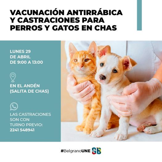 ÚLTIMA JORNADAVacunación antirrabica y castraciones para perros y gatos